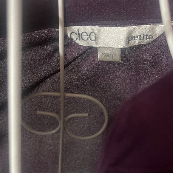 Cleo Purple Ruffle Blouse – XS Petite - Picture 5 of 11